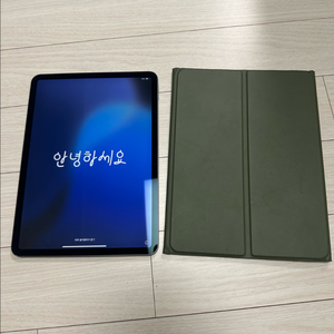아이패드 프로 1세대 11인치 256gb 스그