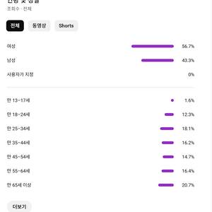 미국 상위 시청자층 1100명 수익화 유튜브 채널