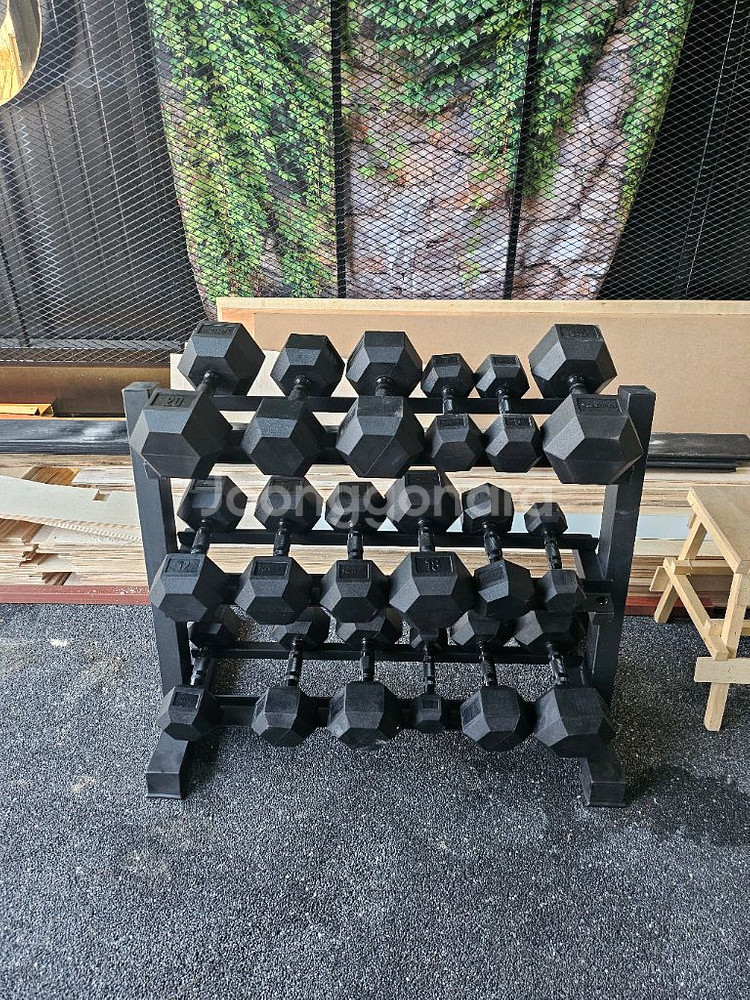 바디엑스 덤벨 176kg--0