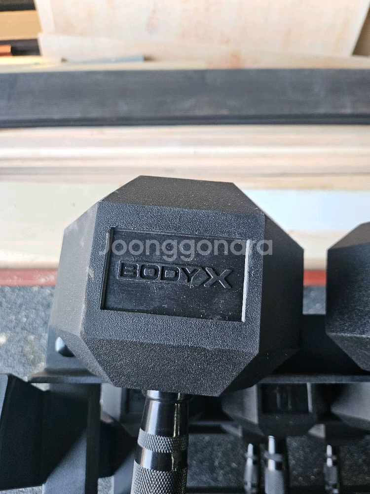 바디엑스 덤벨 176kg--1