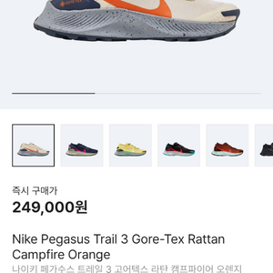 나이키 페가수스 트레일 3 GTX 275mm