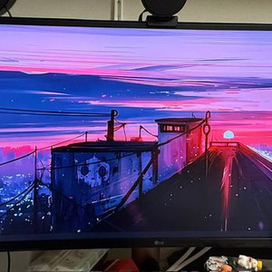 LG 49WL95W 32:9 49인치 모니터