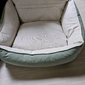 반려견 쿠션
