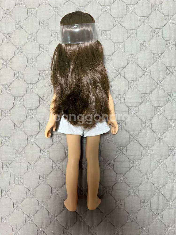 파올라레이나--3