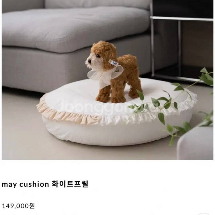 메이준 쿠션 화이트프릴 (강아지쿠션)--0
