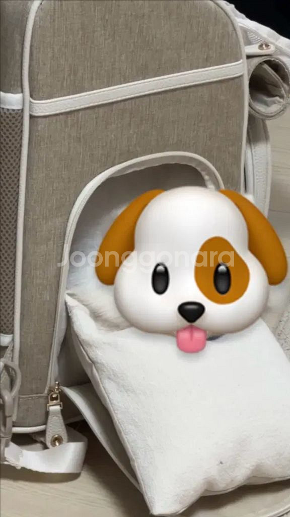 밀리옹 강아지,고양이 백팩 캐리어 m사이즈--1