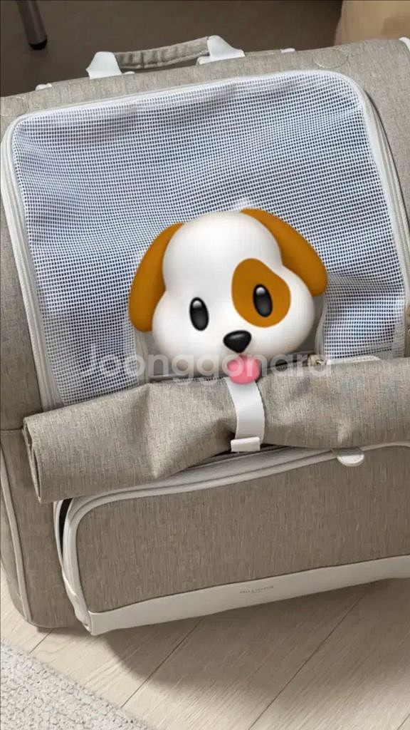 밀리옹 강아지,고양이 백팩 캐리어 m사이즈--0