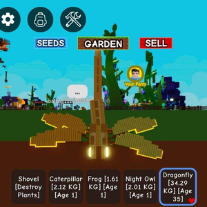 그로우 어 가든 초거대펫 판매(라쿤잠자리)