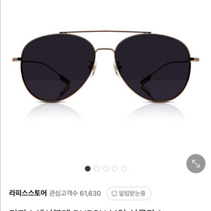 라피스센시블레 선글라스