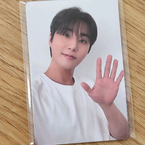 데이식스 영케이 로이비 포카 포토카드 4차