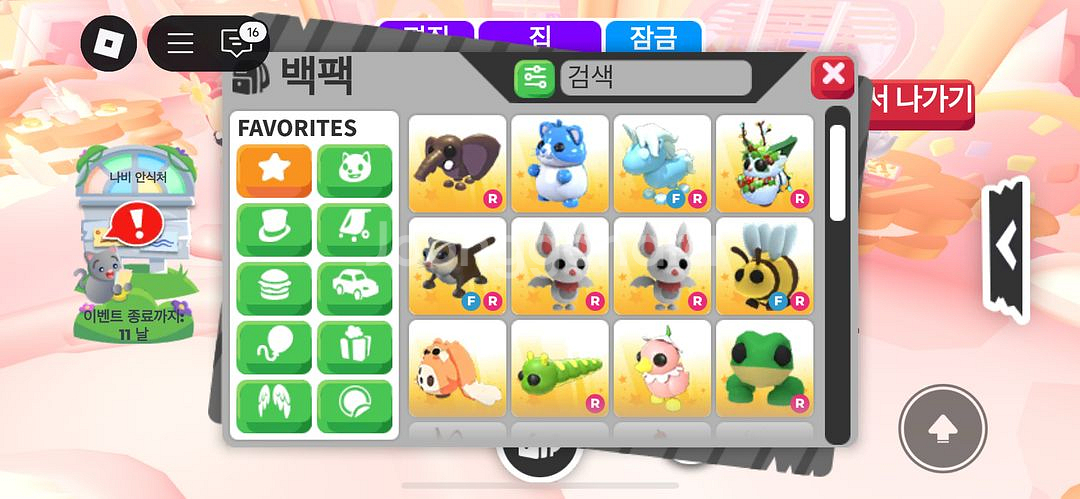 입양하세요 펫 싸게 팝니당--1