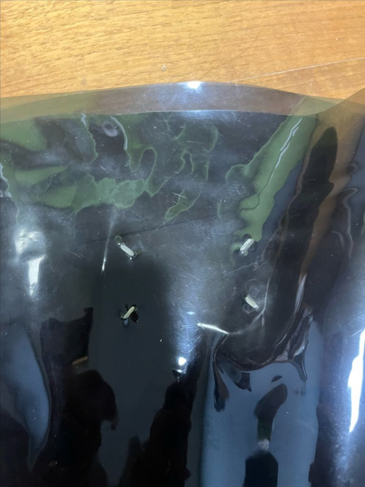 메종 마르지엘라 pvc Bag--2