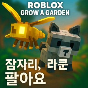 그어가 라쿤 잠자리
