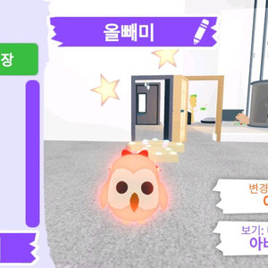 입양하세요 펫 네온 올빼미(부엉이)(뵝)판매합니다.