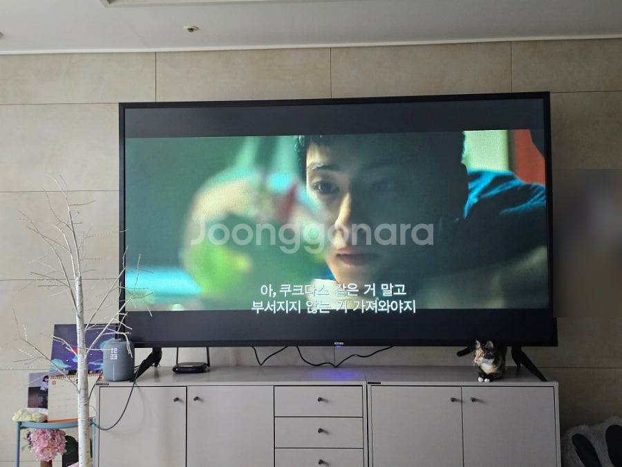 시티브 86인치 TV--2