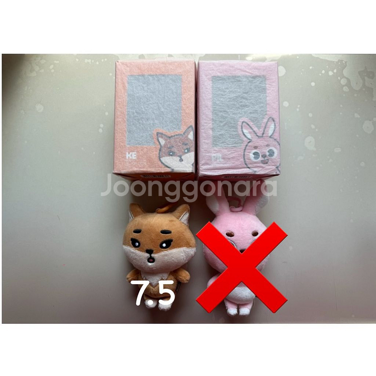 데이식스 데니멀즈 22케, 깡냥이--0
