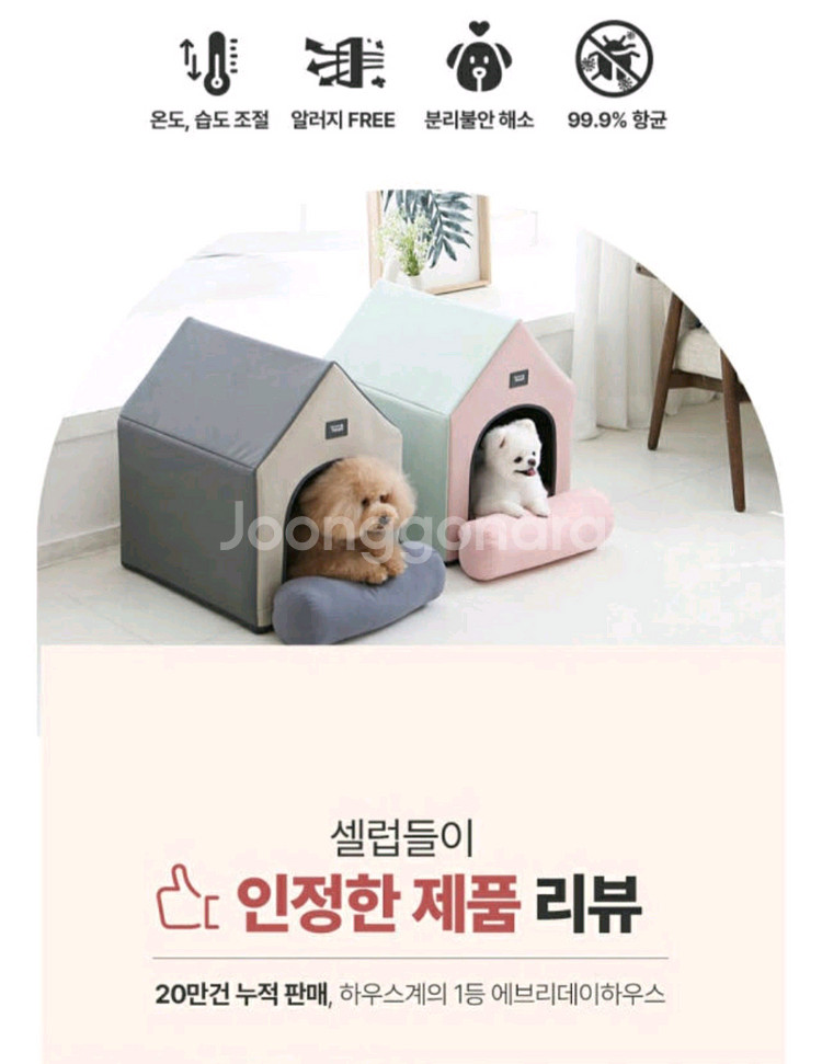 초코펫하우스 강아지집 / 에브리데이 애견 향균 하우스--5