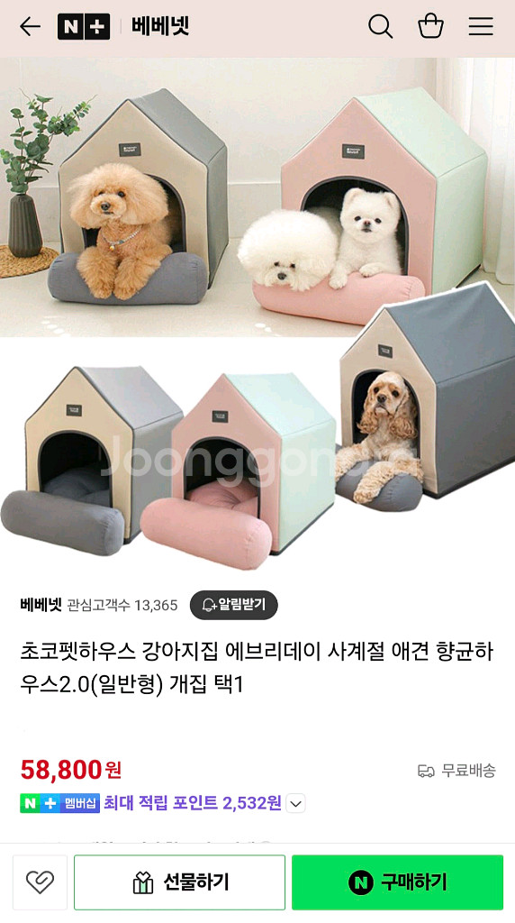 초코펫하우스 강아지집 / 에브리데이 애견 향균 하우스--1