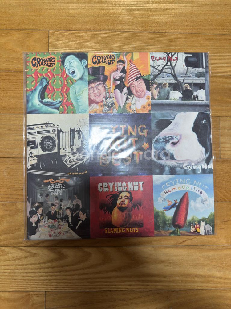 크라잉넛 베스트 Lp 미개봉--0