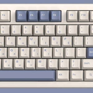 pl87w 베이지 키캡 삽니다!