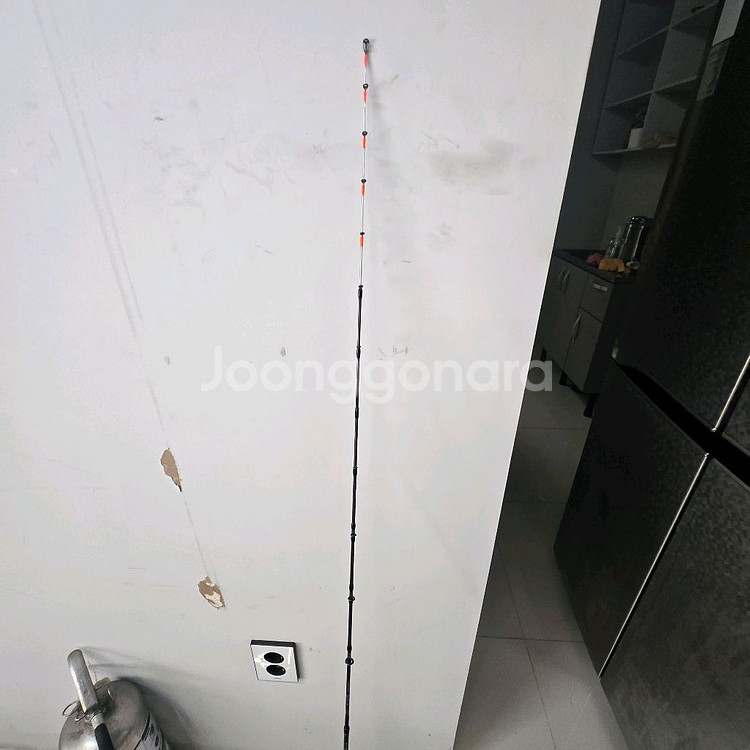 Ns 퓨리어스 B1452--0