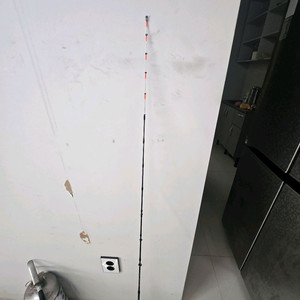 Ns 퓨리어스 B1452