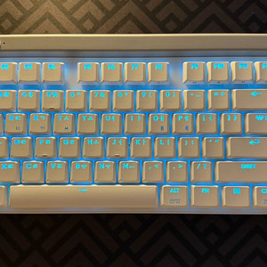 로지텍 G515 TKL 화이트 적축 게이밍 키보드