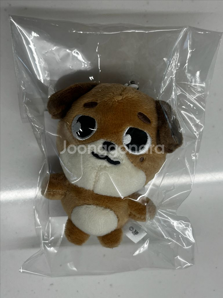 데이식스 일콘 데니멀즈 백참 (돈) 포카 덤--0