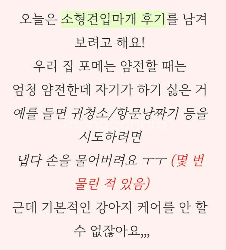 우리자식 편하개 케어용 뱅뱅입마개 개당가격 (새상품)--3