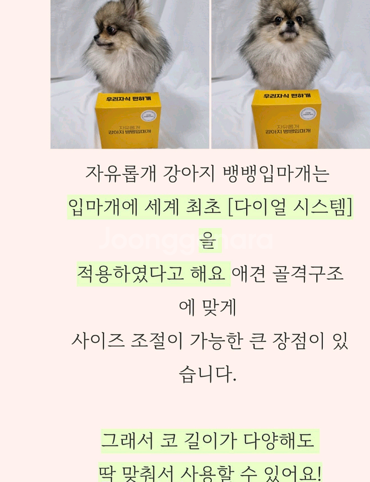 우리자식 편하개 케어용 뱅뱅입마개 개당가격 (새상품)--4