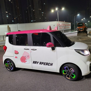 레이 데칼 스티커 1대분 판매합니다 어피치스티커