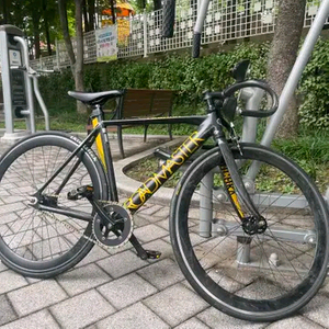 로드마스터 픽시 팝니다