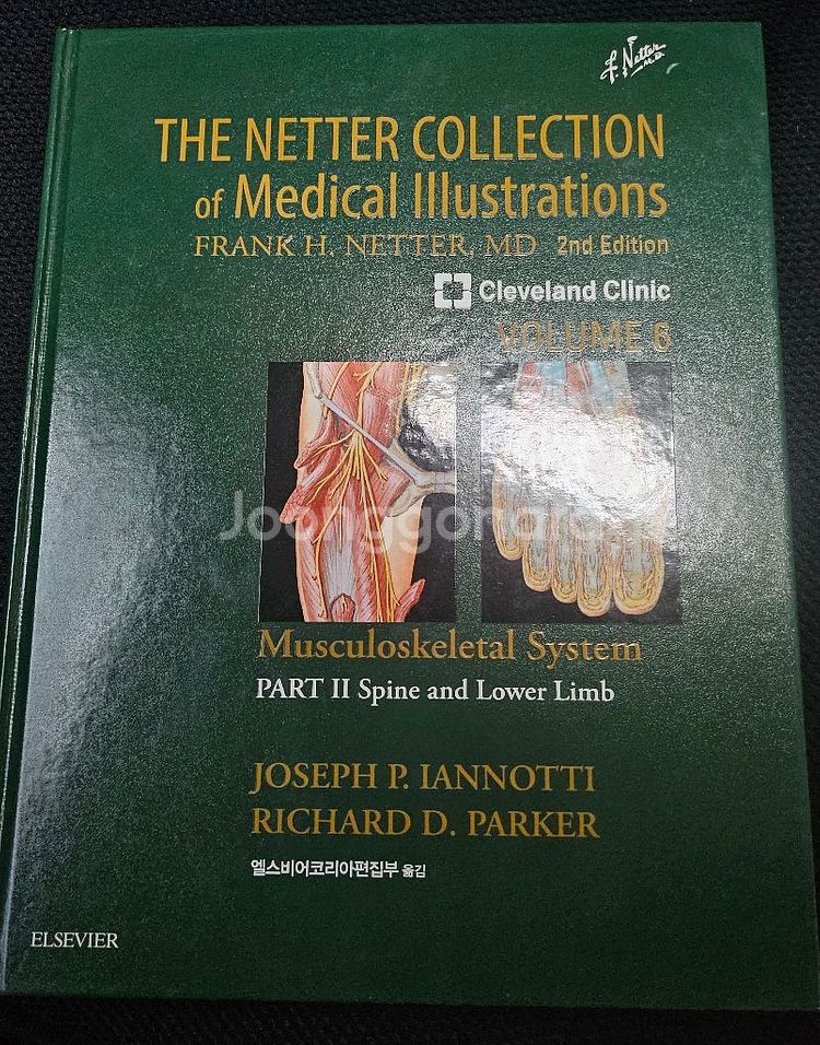 THE NETTER COLLECTION 의학서적--4