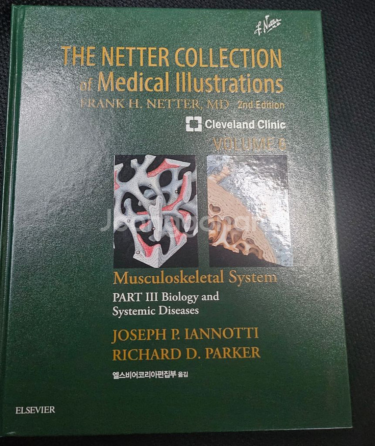 THE NETTER COLLECTION 의학서적--3