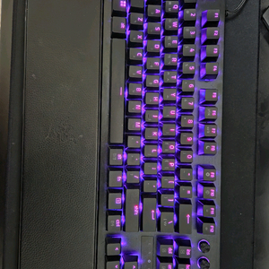 레이저 헌츠맨 v3 pro tkl