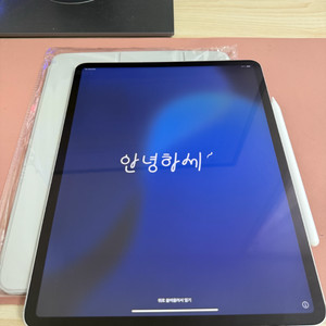 아이패드 프로 4세대 12.9 512기가 셀룰러+애펜