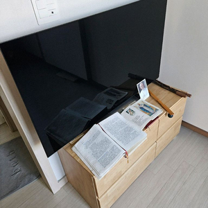 LG OLED 48 C3KNA 팝니다