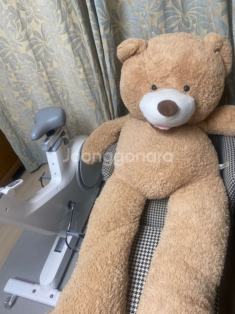 곰돌이 인형 대형--0