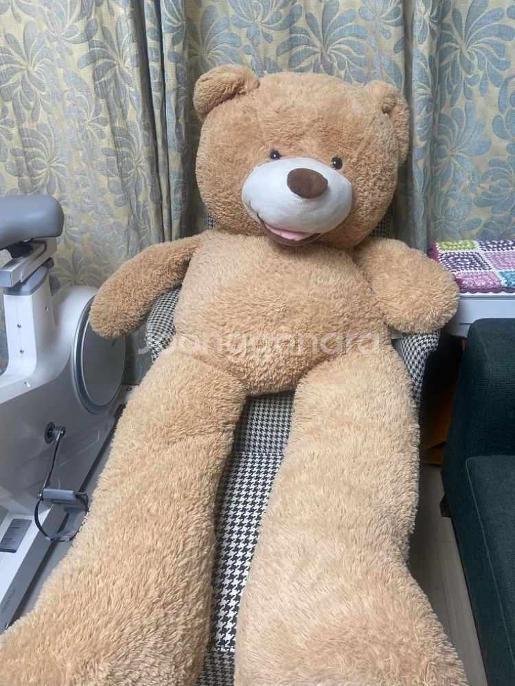 곰돌이 인형 대형--2
