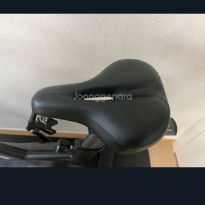암웨이 자전거