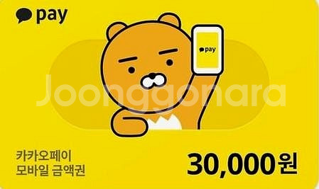 카카오페이 3만원 상품권--0