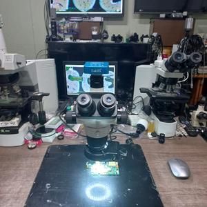 휴비츠 3안실체현미경 싸게판매합니다