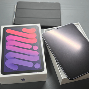 아이패드 미니6 셀룰러 256GB