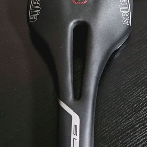 셀레이털리아 안장