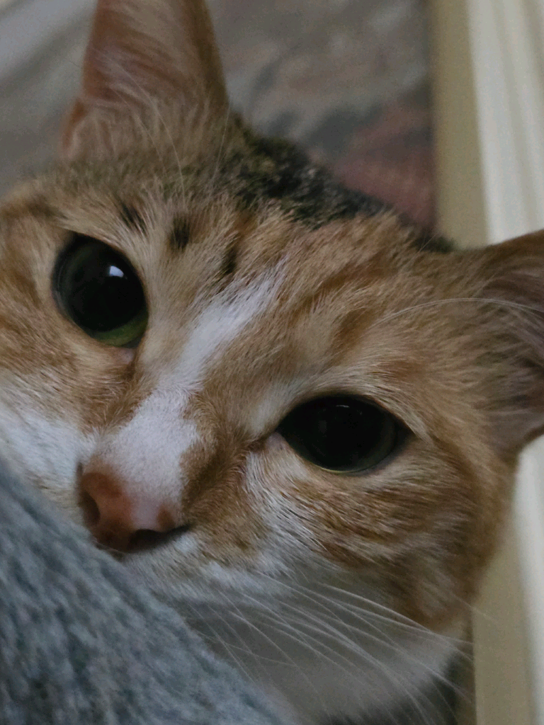 profile-image