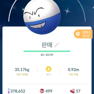 포켓몬고 이로치 붐볼