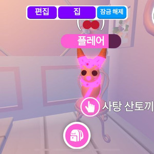 입양하세요 네날타 사탕토끼