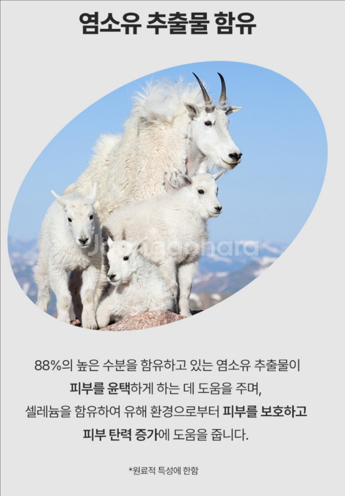 아르히 클렌징 파우더 새상품 두개 일괄 판매해요--4