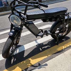 X-RIDER X100 Pro 전기자전거.자토바이