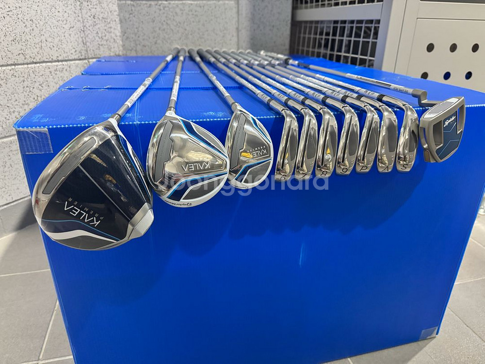 테일러 메이드 여성용 풀세트 ( 거의새거)--4